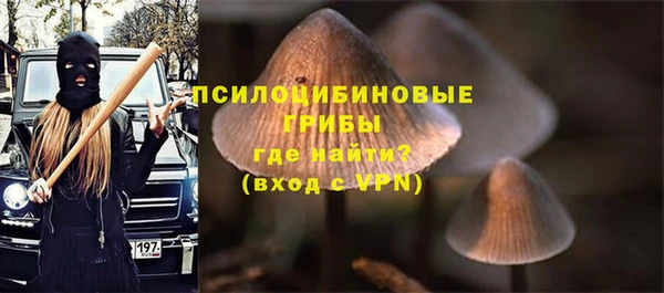 бутират Михайловка