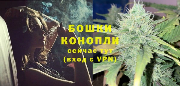 сатива Михайлов