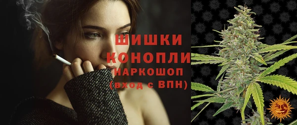 сатива Михайлов