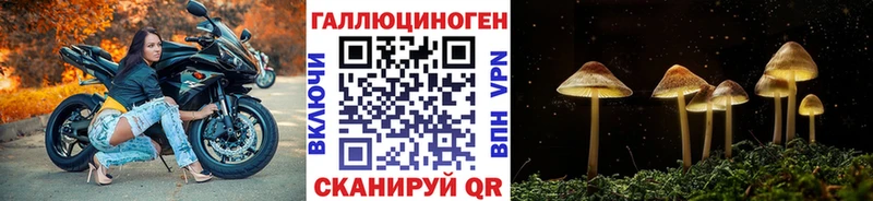 гидра ТОР  Фёдоровский  Псилоцибиновые грибы GOLDEN TEACHER 